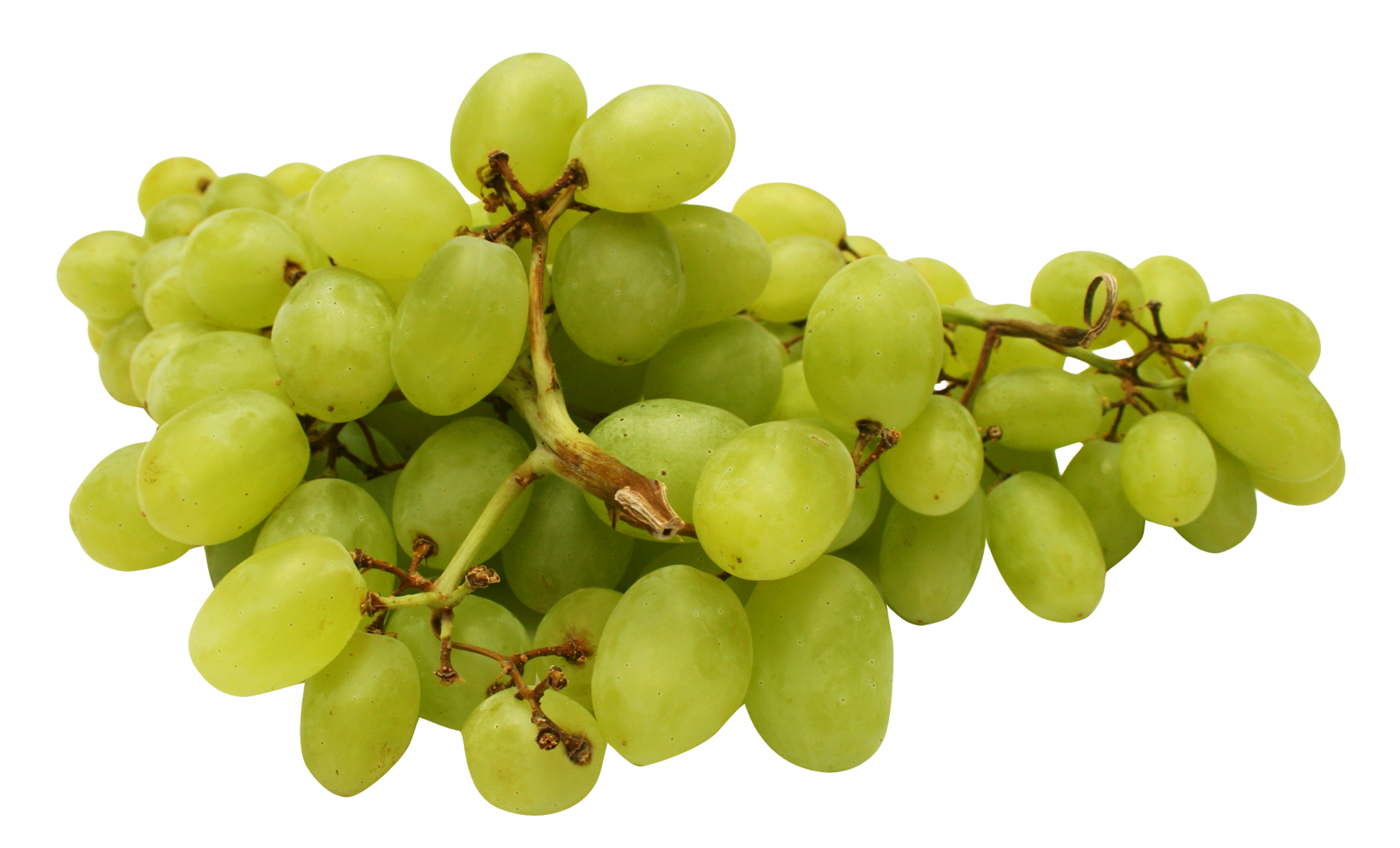 green grapes png image pngpix #16944