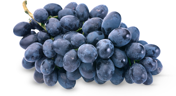 transparent clipart image black grapes png image five #16952