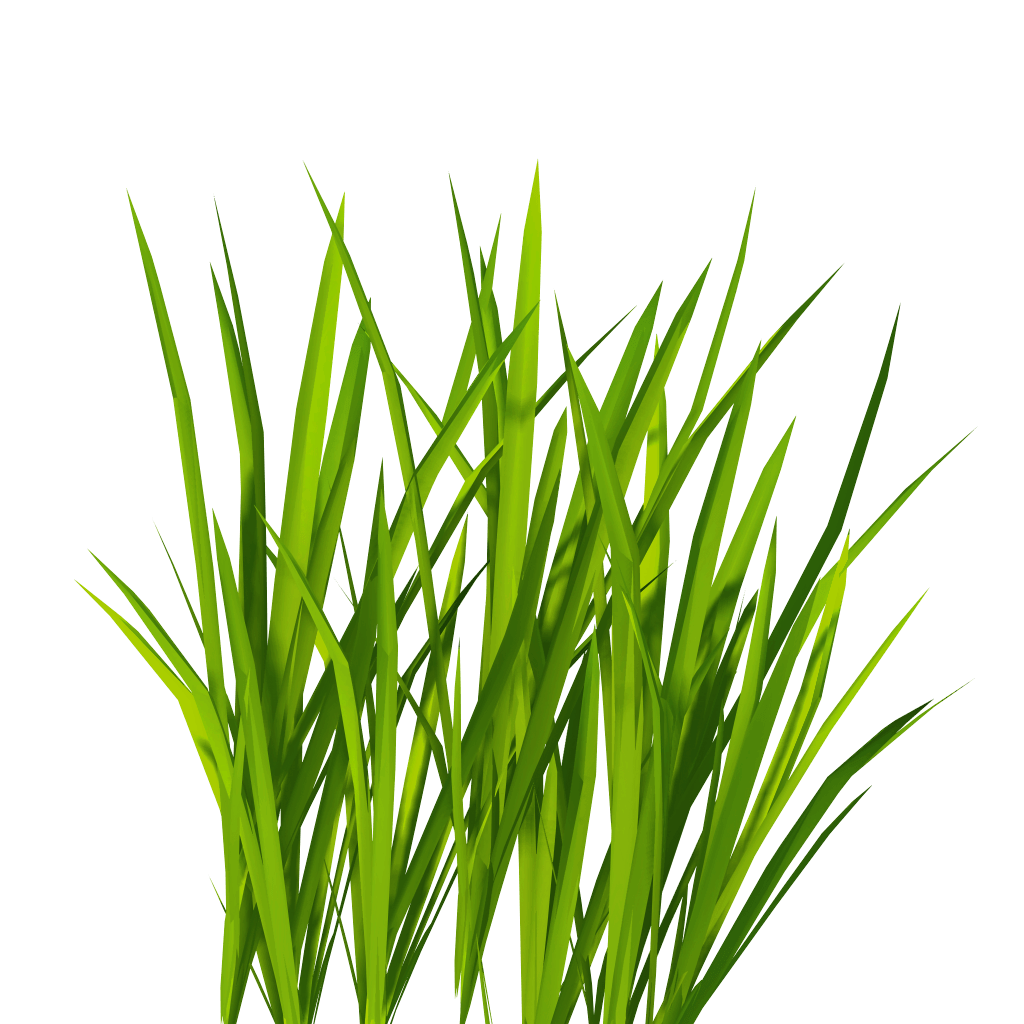 download grass png image green grass png picture png #9206