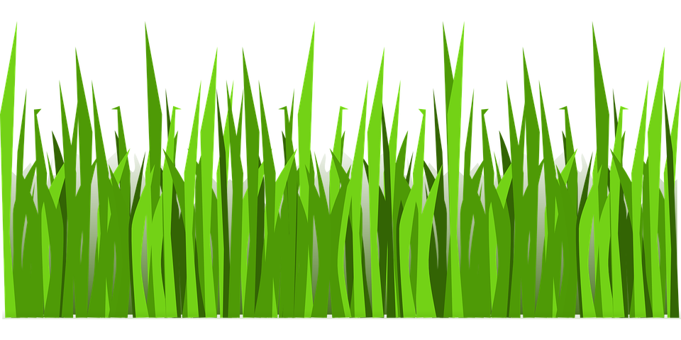 grass lawn nature vector graphic #9220