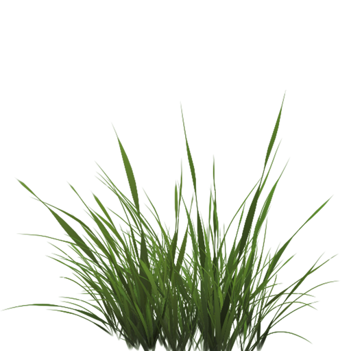 Grass PNG transparent image download, size: 7327x3295px