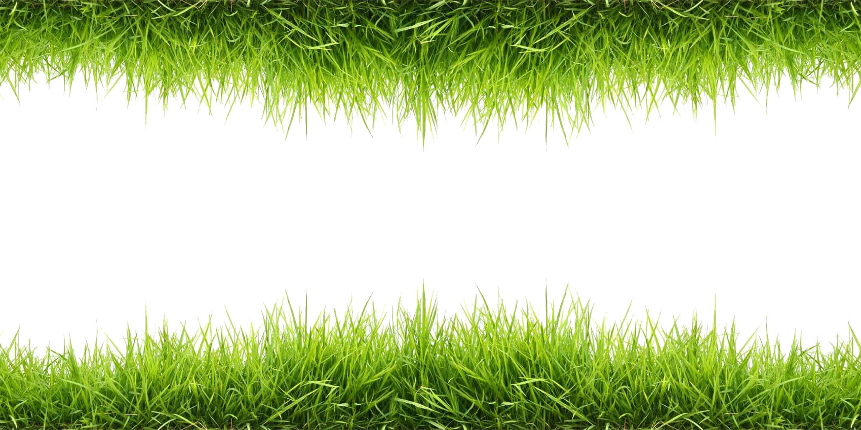 grass png image purepng transparent png image #9228