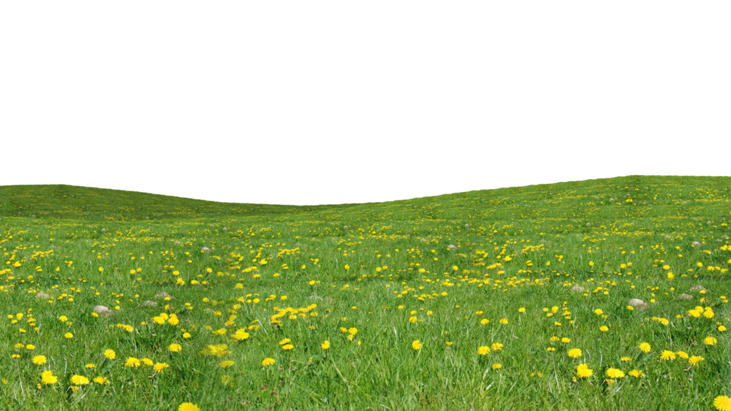 grass png images download studiopk #9234