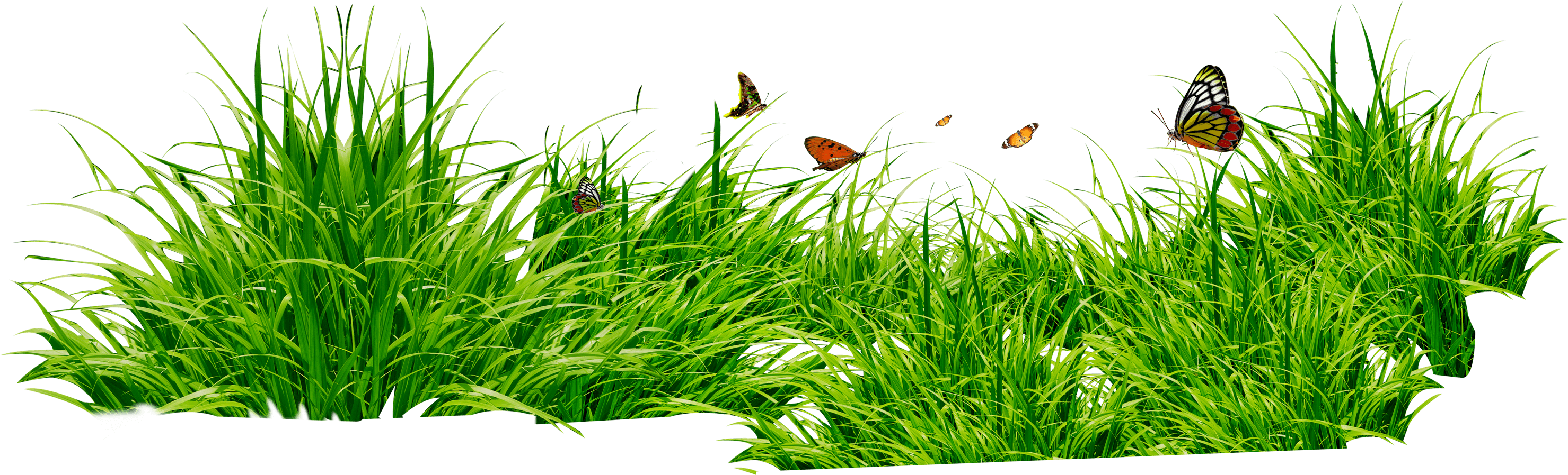 grass png images live ornament tool png only