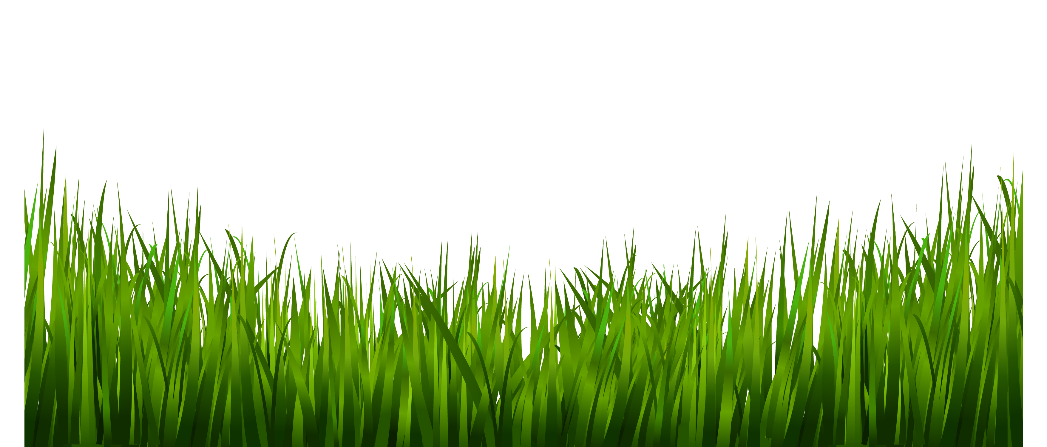grass png images live ornament tool png only #9209