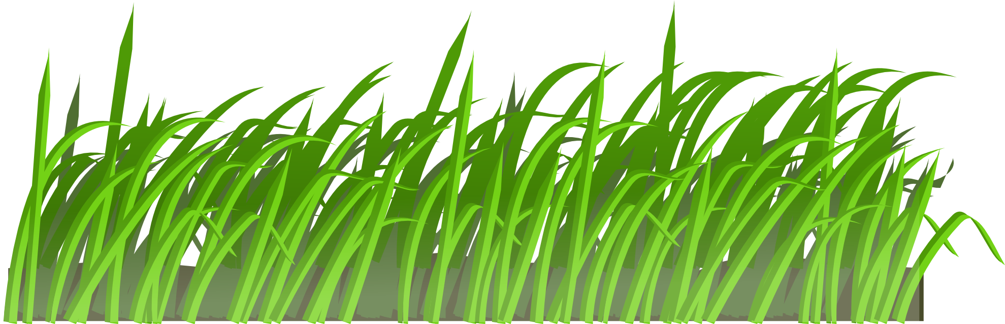 grass png images pictures #9217