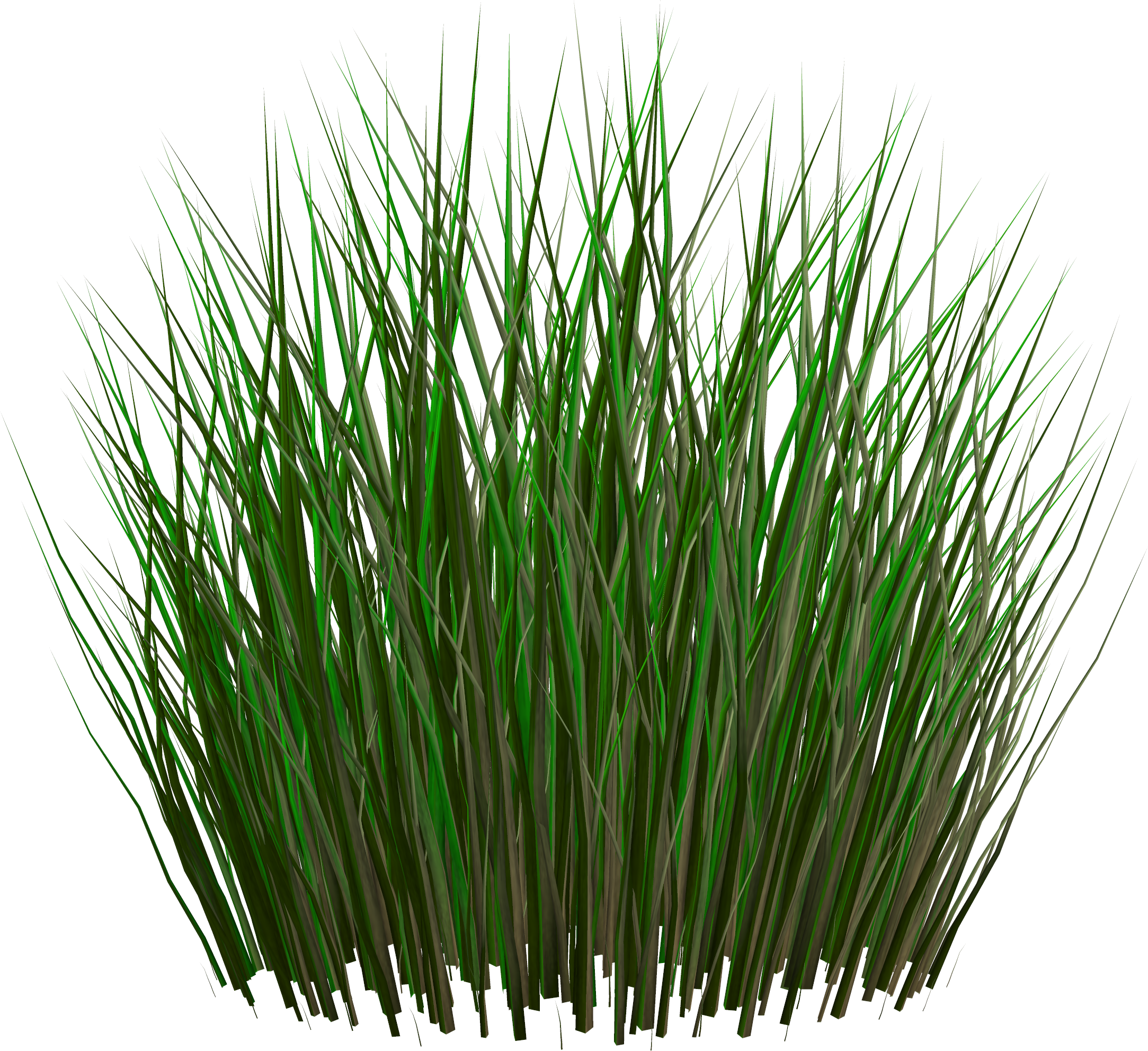 grass png images pictures #9208
