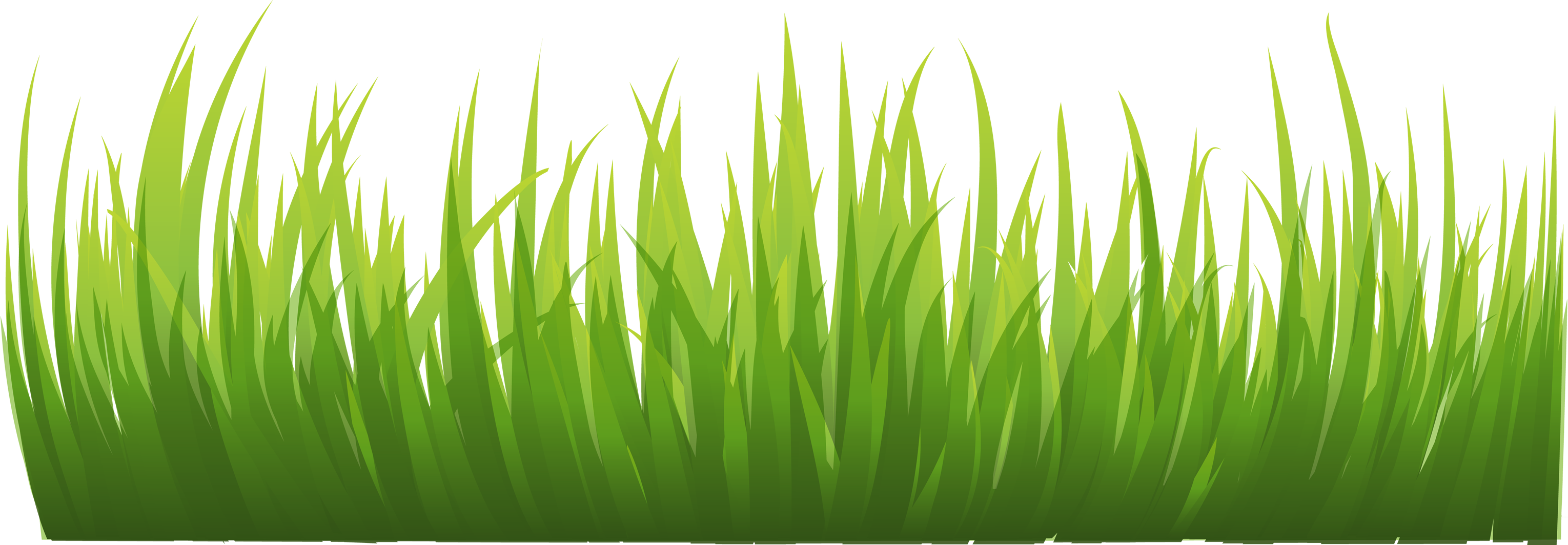 grass png images pictures #9237