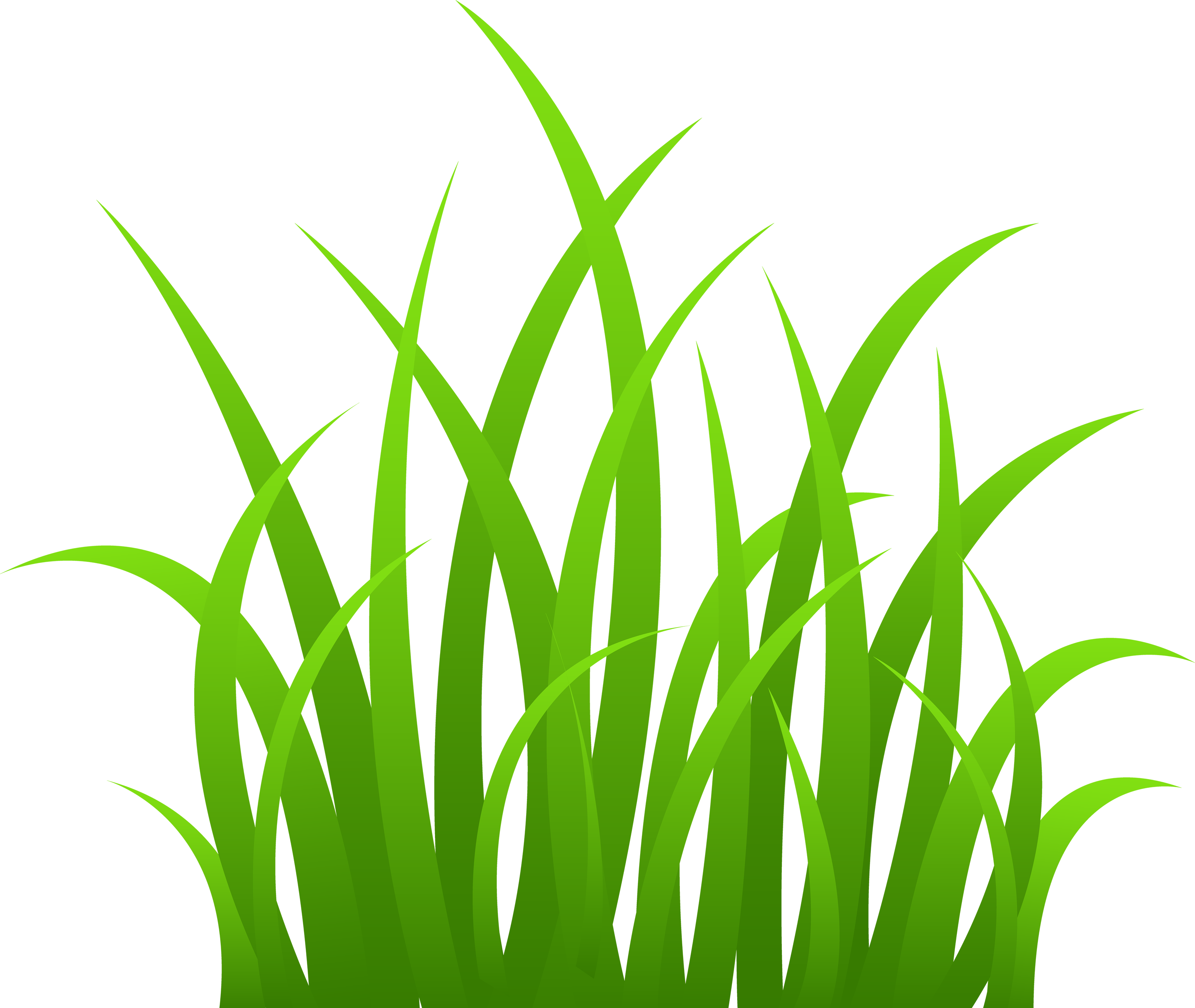 grass png images pictures #9213