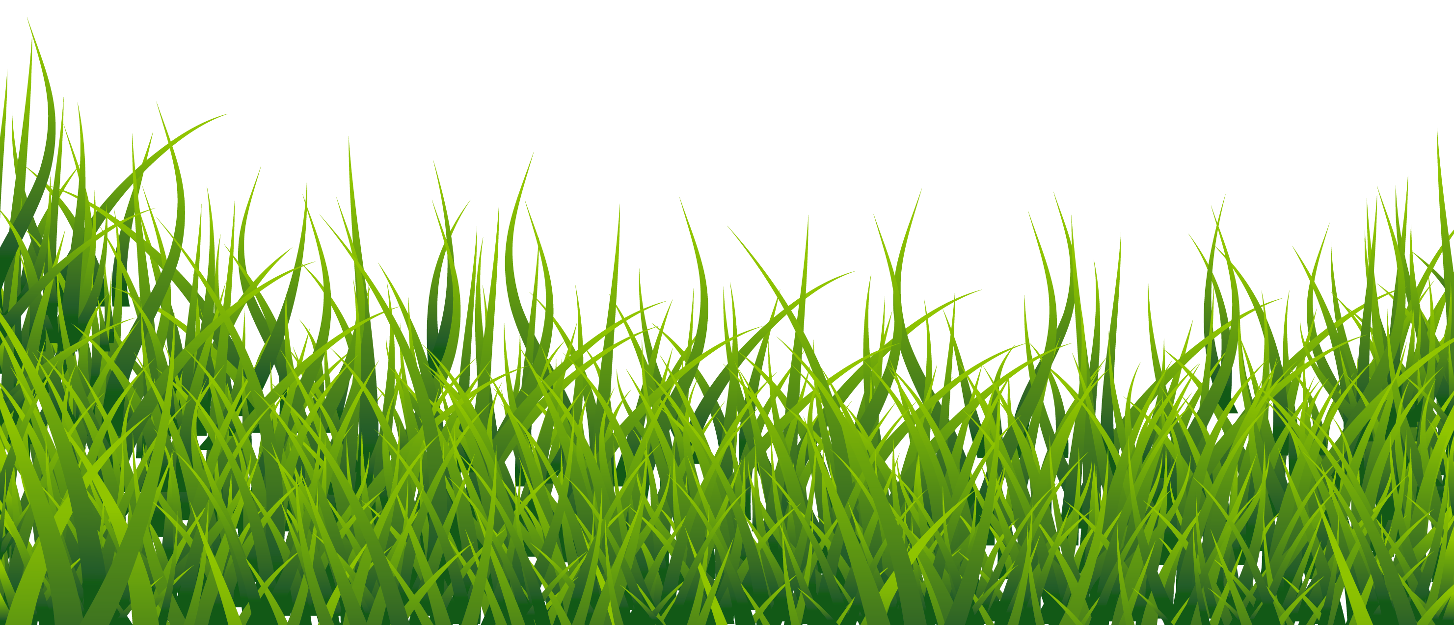 grass png transparent image #9207