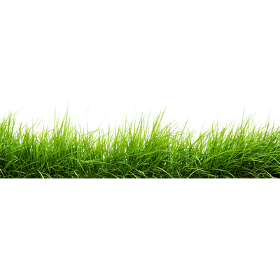 line grass transparent png stickpng #9223