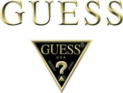 logo guess with triangle png transparent
