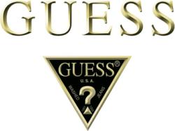 logo guess with triangle png transparent #570