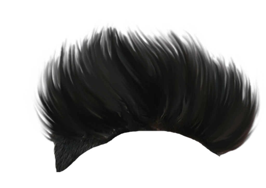 Men Hair PNG Transparent Images Free Download | Vector Files | Pngtree