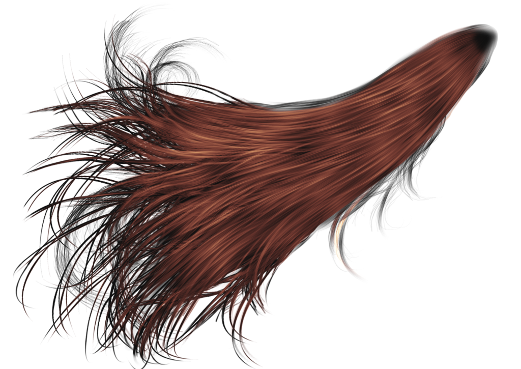 hair png transparent hair images pluspng #12762