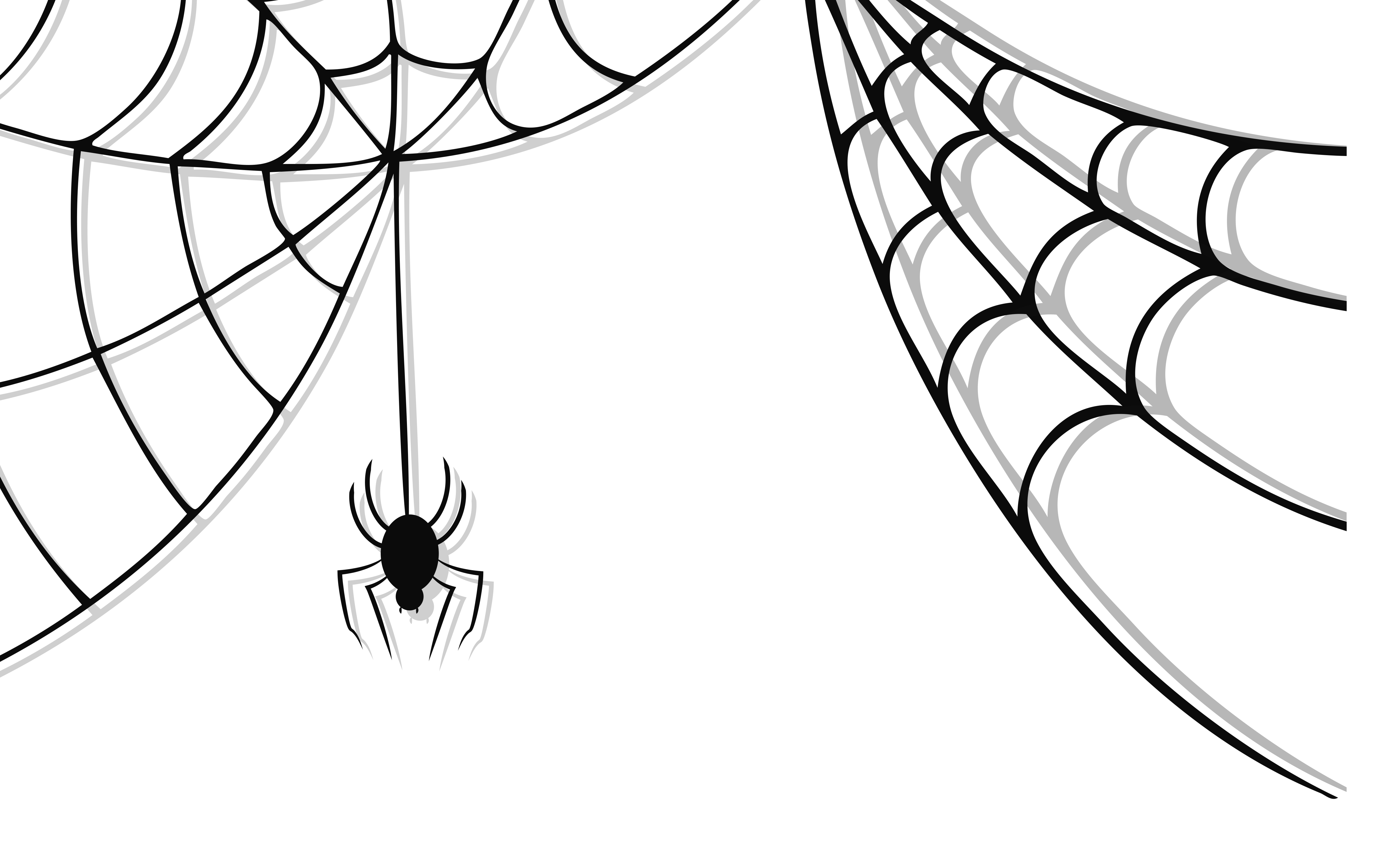 halloween spider web png festival #27392