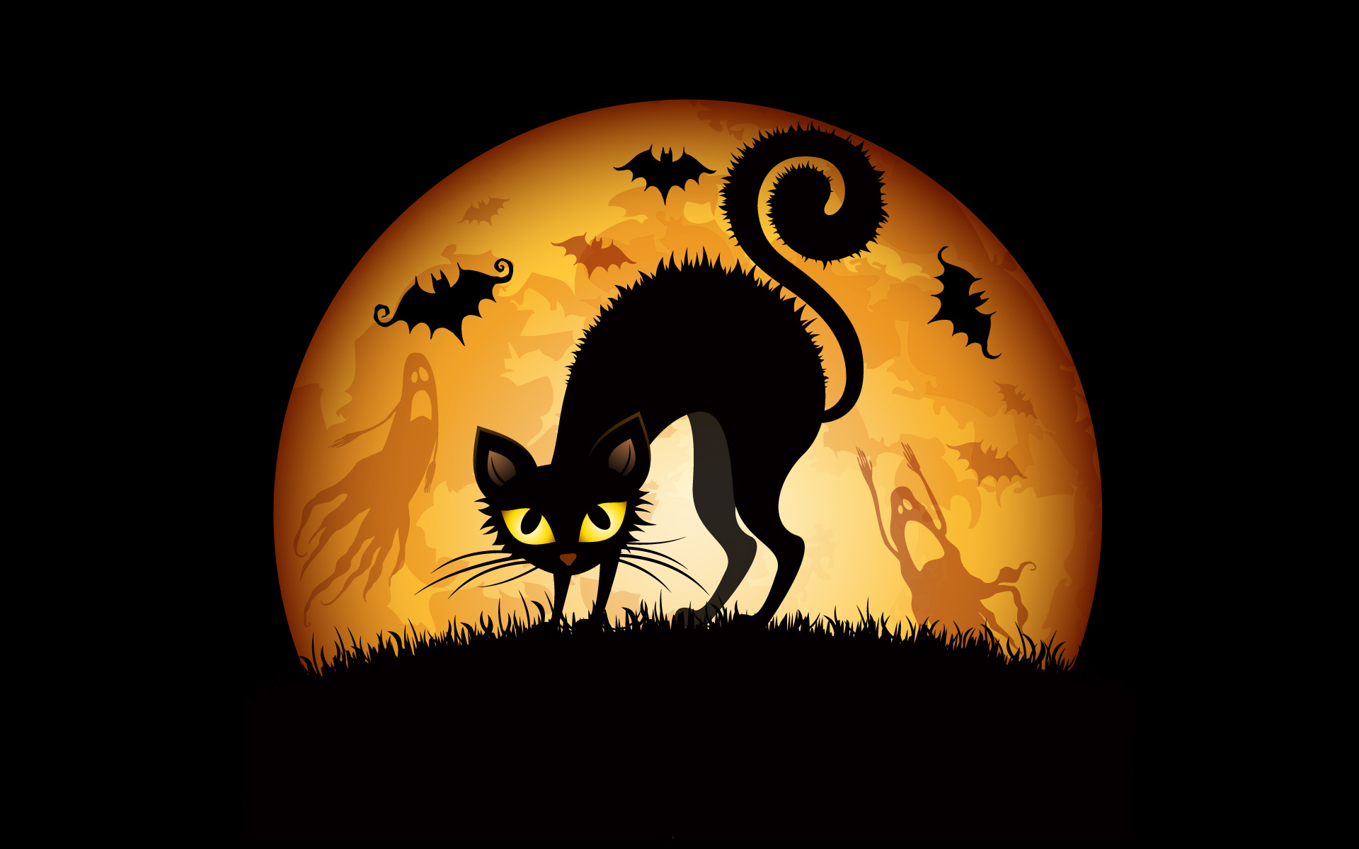 elegant halloween background #27442