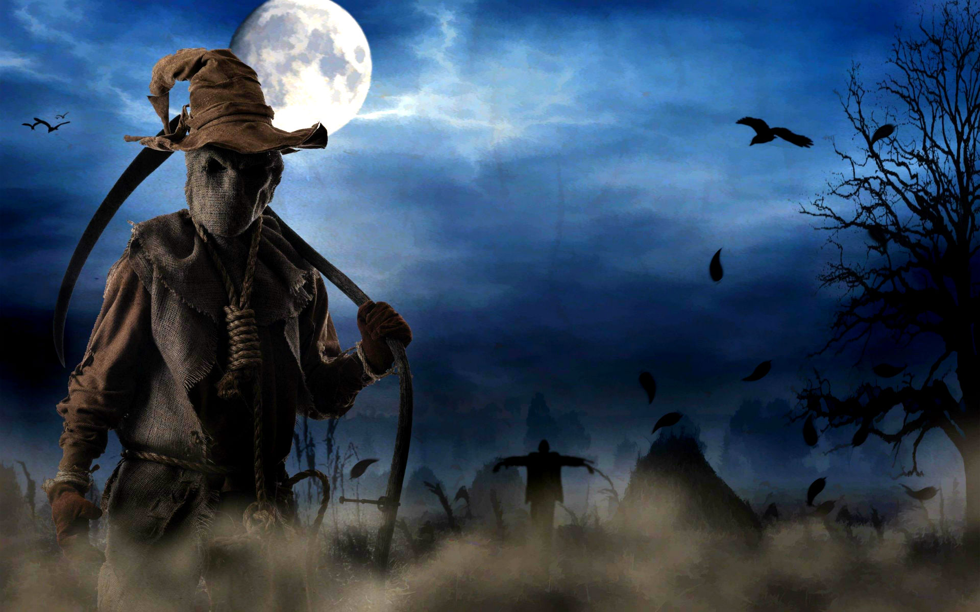 elegant halloween background #27453