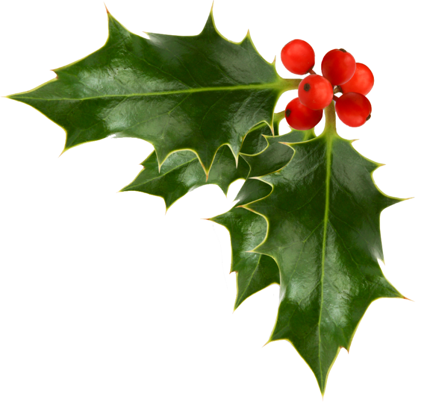 christmas holly clip art #28090