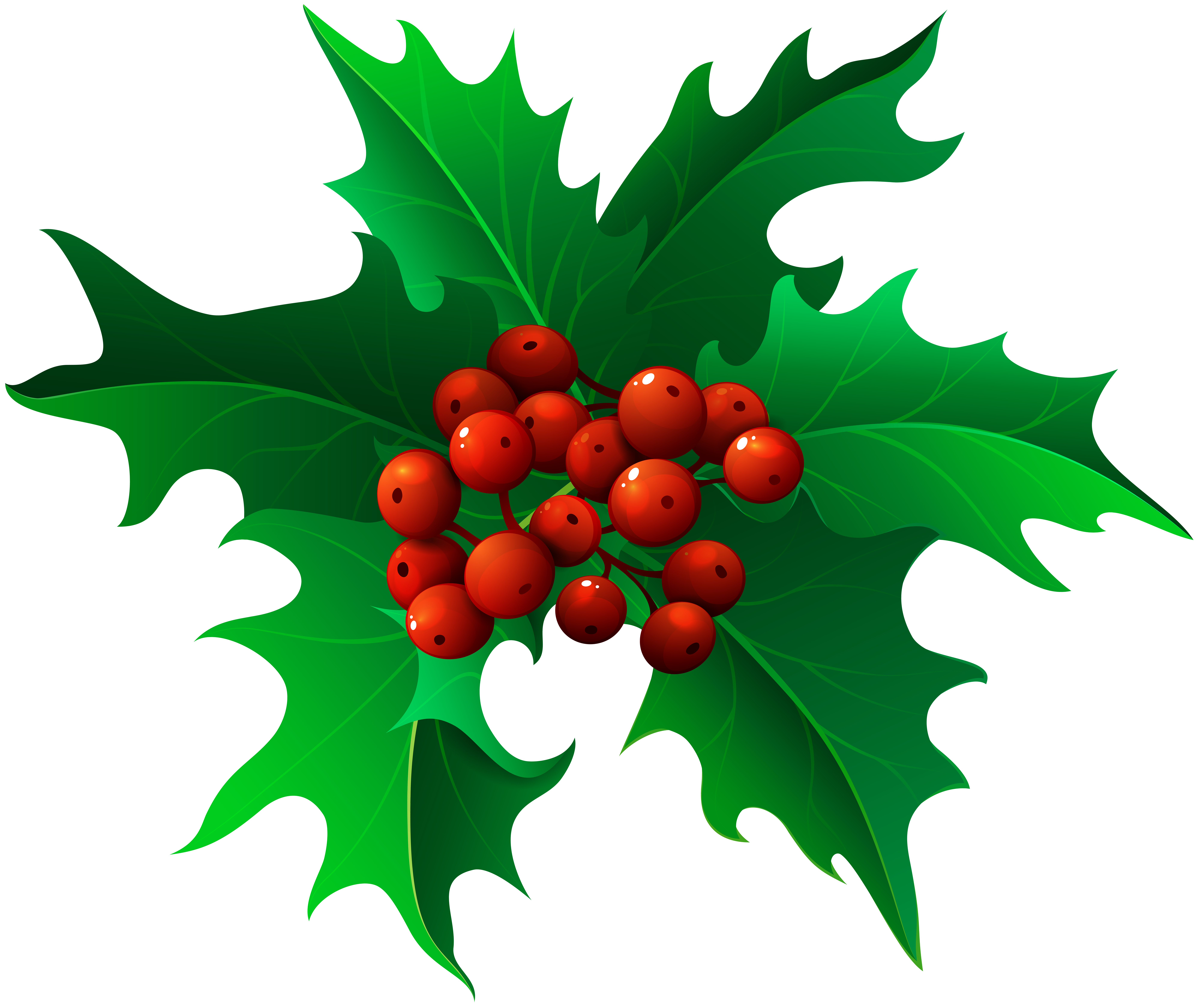 christmas holly mistletoe transparent png clip art