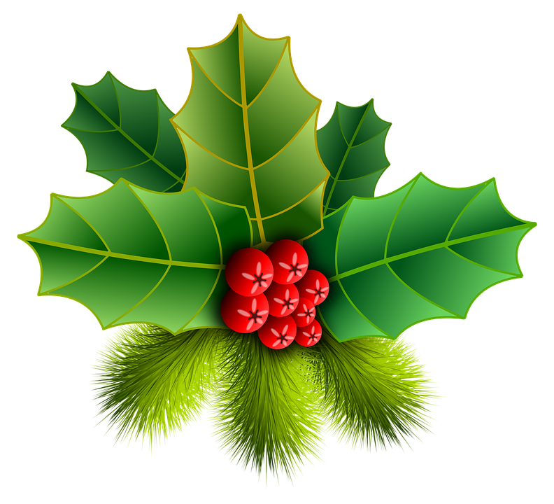 christmas holly pinheiro image #28105