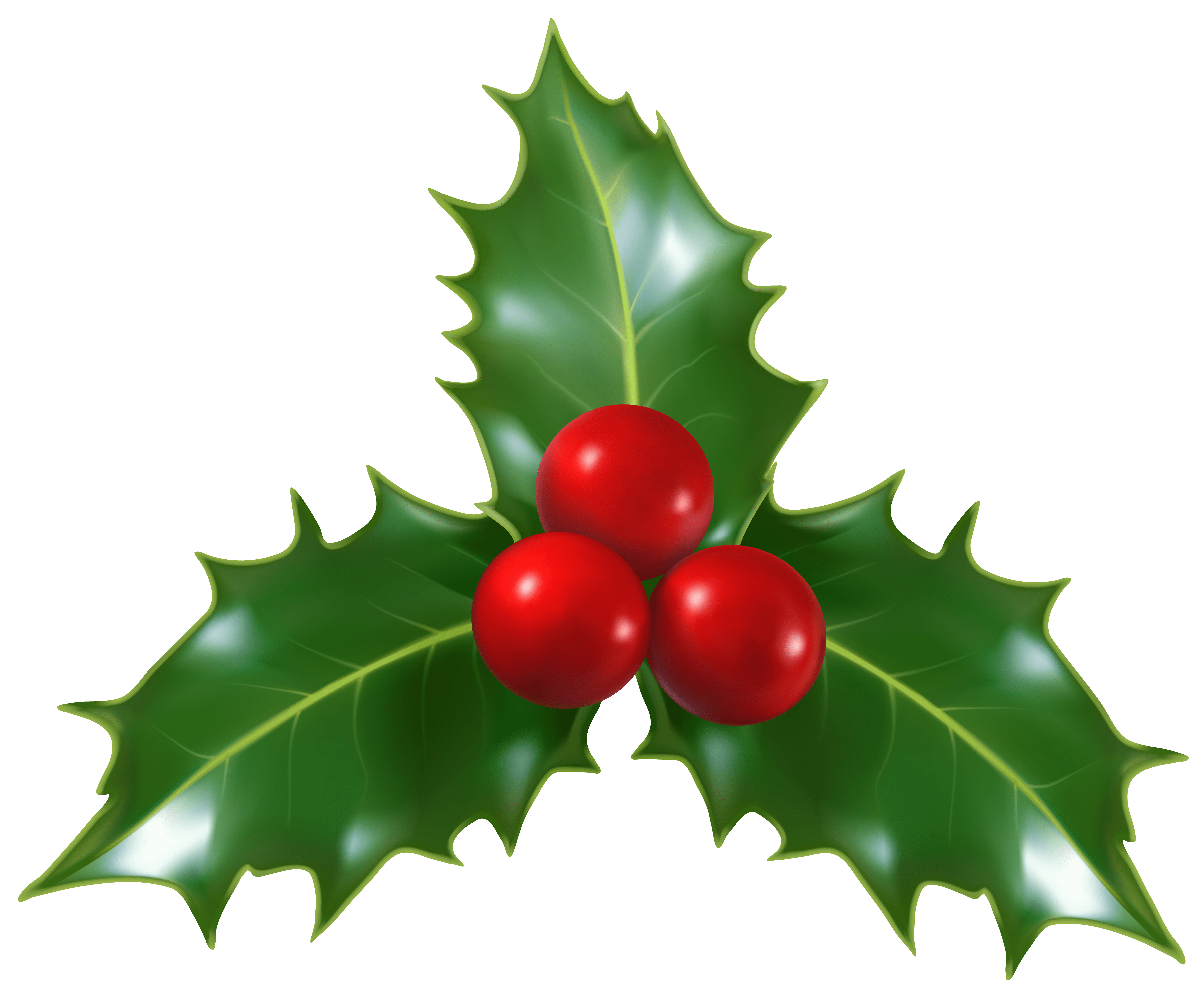 christmas holly wallpaper #28092