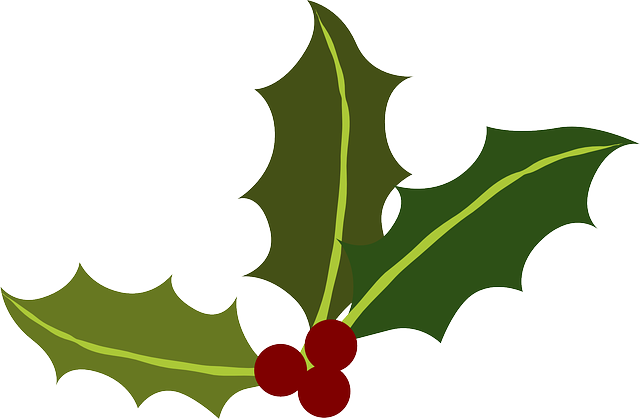 vector graphic green holly berries christmas #28135
