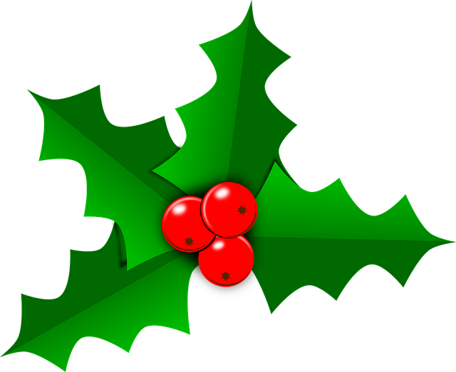 Holly PNG, Christmas Holly, Border, Leaves Clipart Free Download