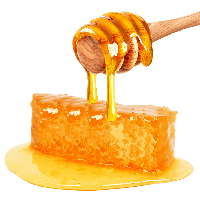 download honey png photo images and clipart pngimg #22730