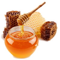 download honey png photo images and clipart pngimg #22681