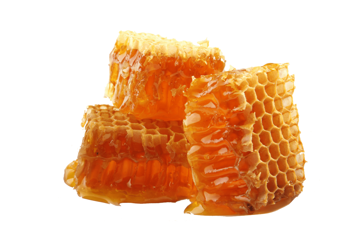 honey blocks transparent png stickpng #22725