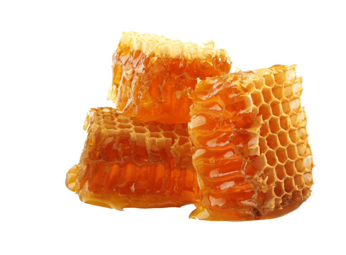 Honey PNG Transparent, Dripping Honey, Honey Bee Free Clipart Download