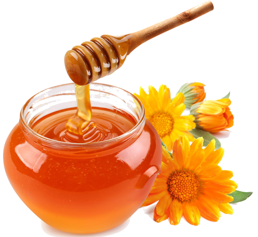 honey png image collection for download crazypng #22678