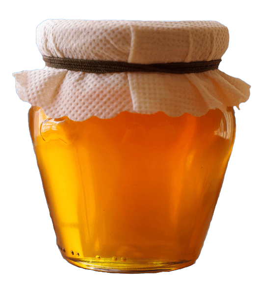 honey pot transparent png stickpng #22727