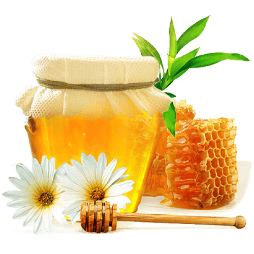 phoenicia wildflower honey without comb yabani cicek #22724