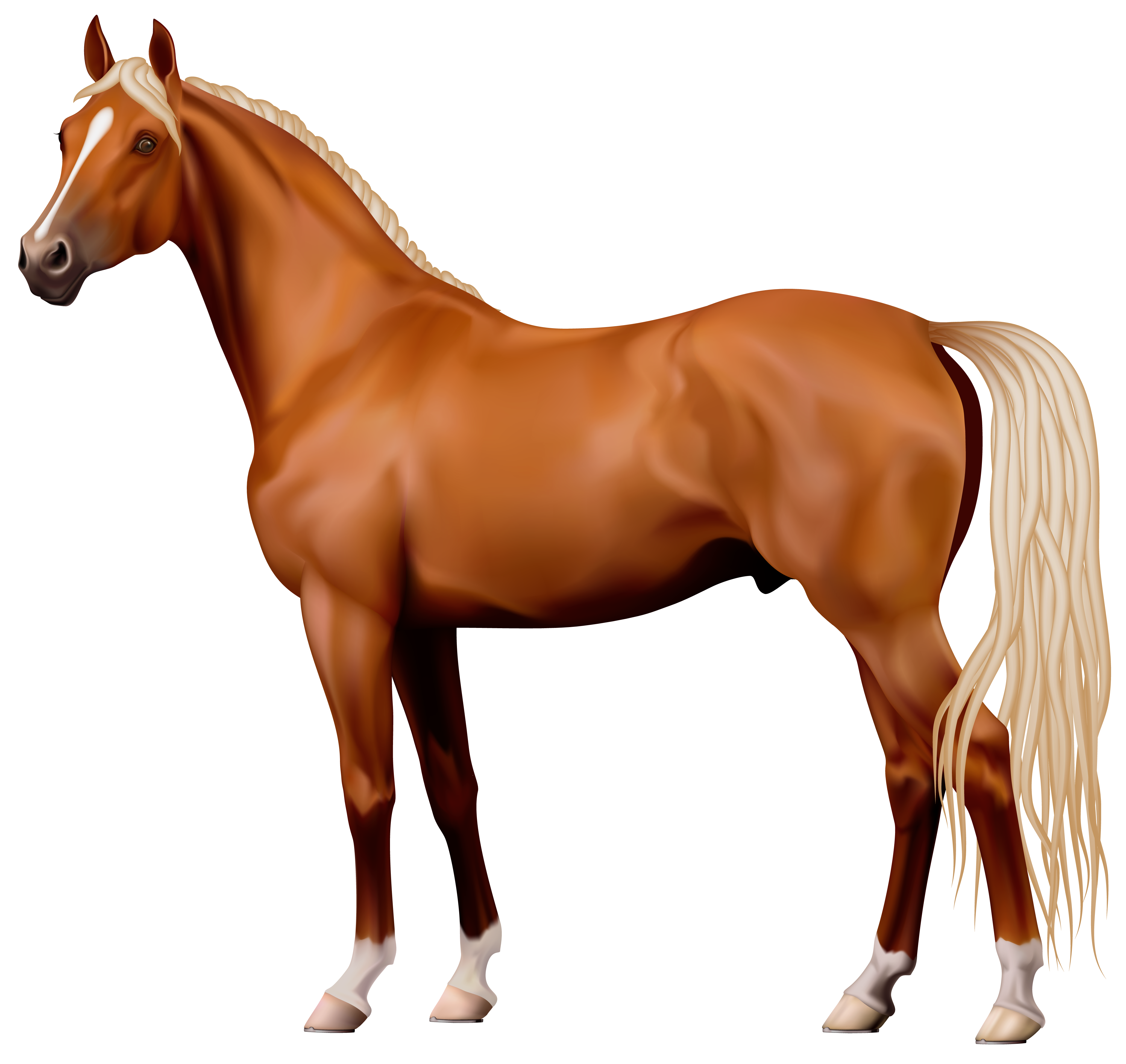 beautiful brown horse clipart #15771