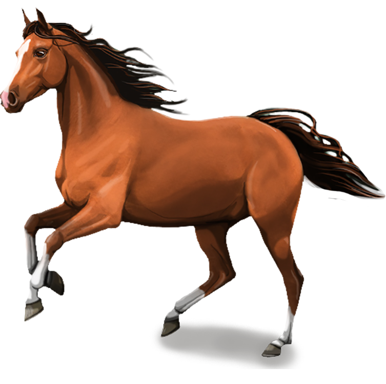 running, race horse transparent png #15761