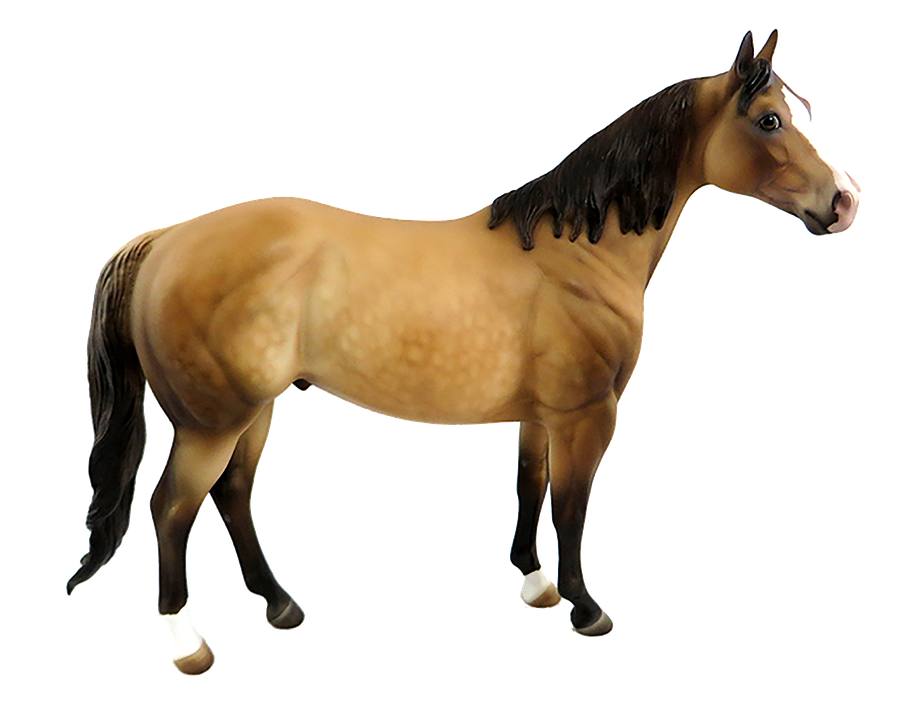 horse brown isolated photo pixabay #15737