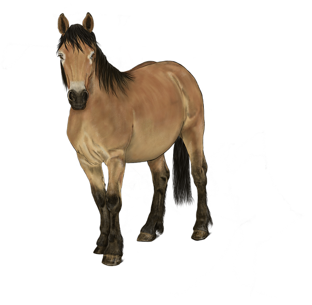 horse fawn art digital image pixabay #15756
