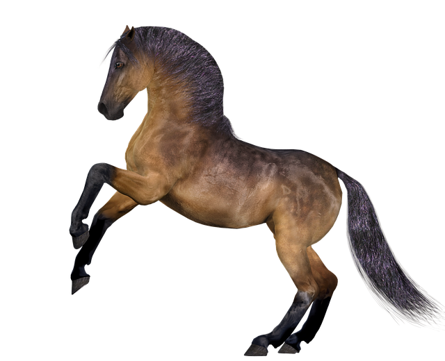 horse mane head image pixabay #15749