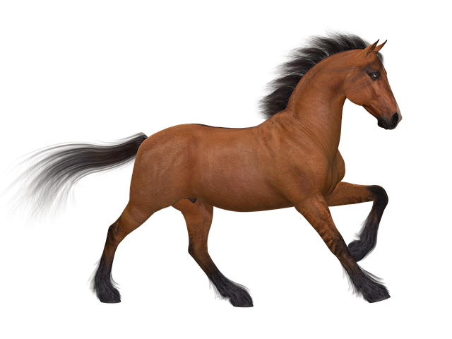 horse run brown image pixabay #15740
