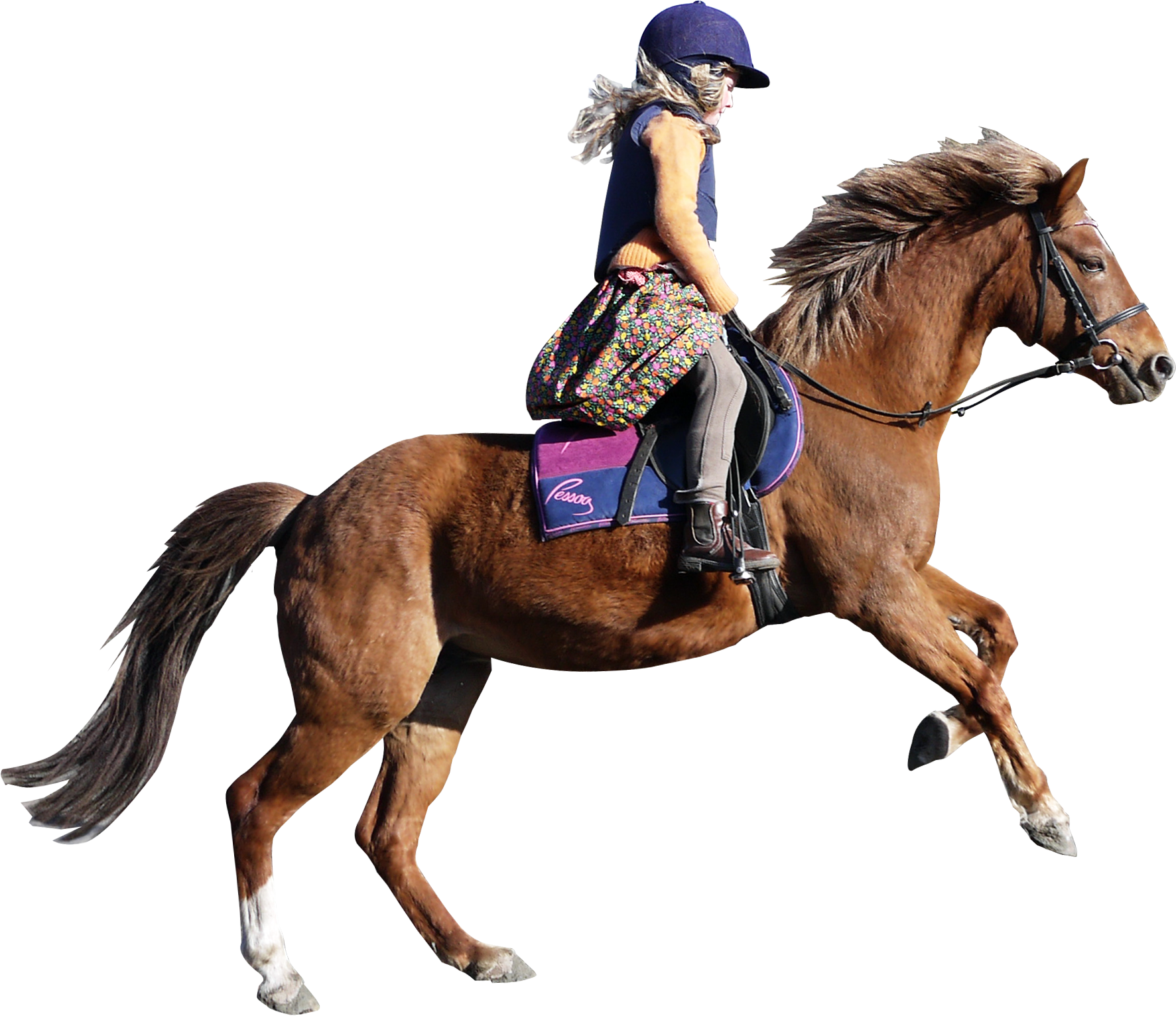 Horse PNG Images, Race Horse, British Horse, Horses