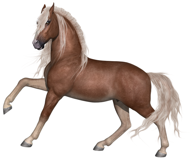 horse stallion animal image pixabay #15768