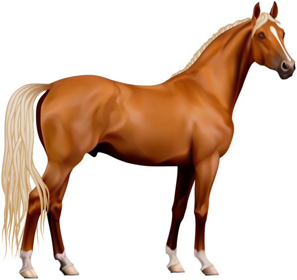 transparent horse clipart #15733