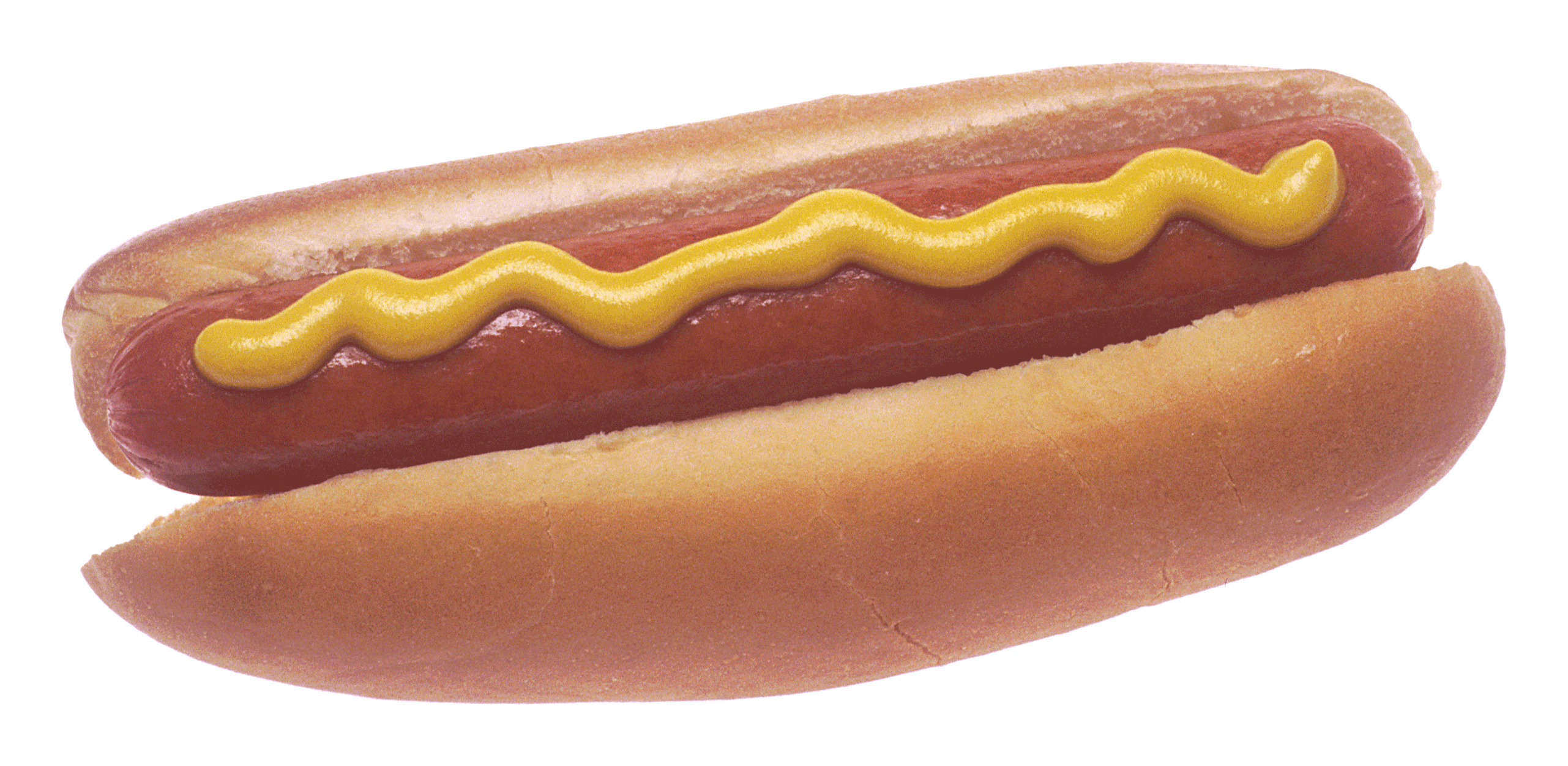 hot dog wikiwand #17631