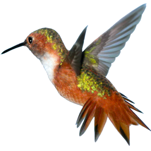cropped hummingbird greenbird llc #36777