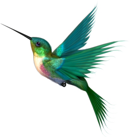 hummingbird bem cil png ssaros png #36770