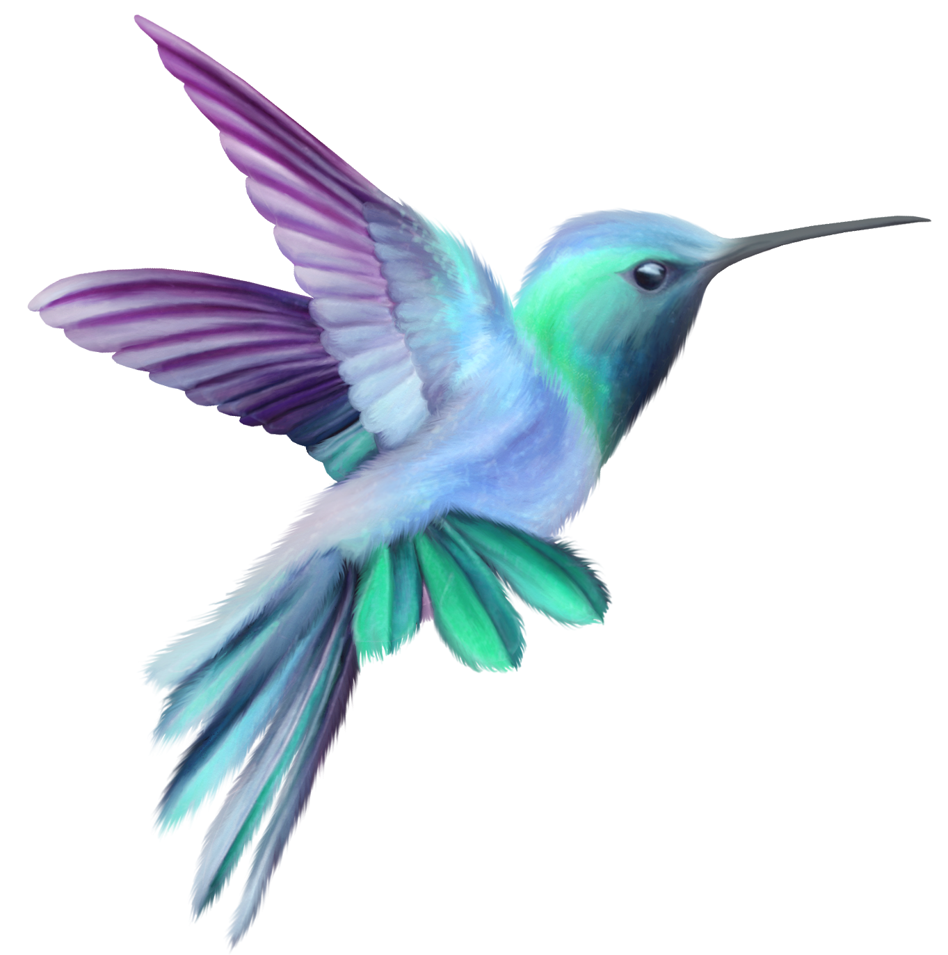 hummingbird meer dan afbeeldingen over cute birdies pinterest #36727