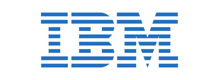 Ibm Logo