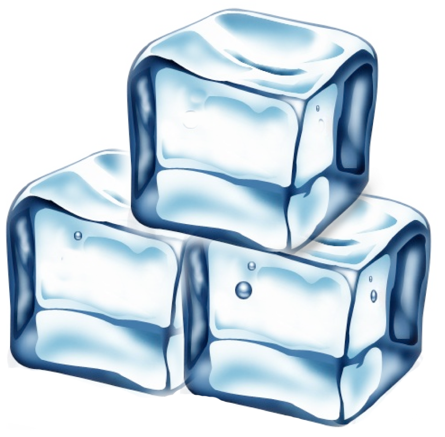 ice, webminds newsletter
